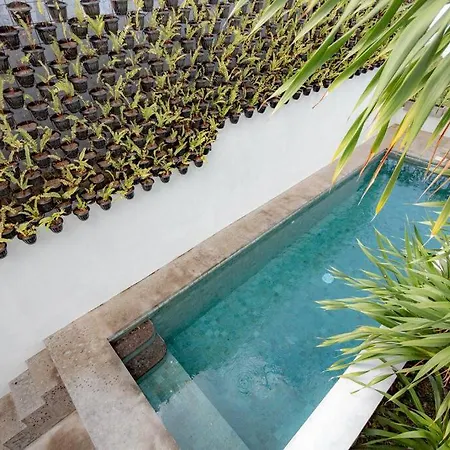 The Drupadi Apartments Town House Lola Seminyak  Exterior photo